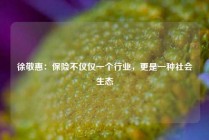 徐敬惠：保险不仅仅一个行业，更是一种社会生态