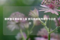 俄罗斯主要股指上涨 俄乌直接谈判将于今日进行