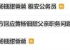 雅安纪委监委回应“黄杨钿甜耳环事件”：正在处理