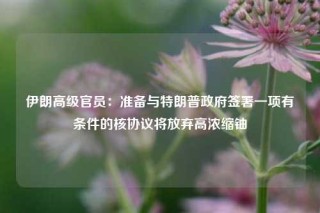 伊朗高级官员：准备与特朗普政府签署一项有条件的核协议将放弃高浓缩铀