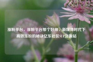 涨粉平台，涨粉平台那个好用，新媒体时代下高效涨粉的秘诀亿乐社区SUP货源站