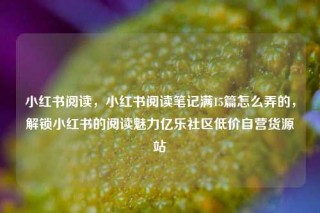 小红书阅读，小红书阅读笔记满15篇怎么弄的，解锁小红书的阅读魅力亿乐社区低价自营货源站