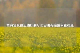 青海省交通运输厅副厅长田明有接受审查调查