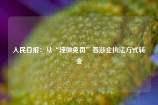 人民日报：从“轻微免罚”看涉企执法方式转变