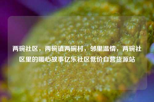 两碗社区，两碗镇两碗村，邻里温情，两碗社区里的暖心故事亿乐社区低价自营货源站  第1张