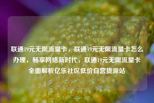 联通19元无限流量卡，联通19元无限流量卡怎么办理，畅享网络新时代，联通19元无限流量卡全面解析亿乐社区低价自营货源站  第1张