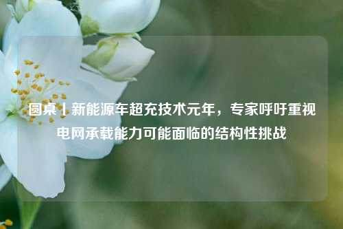 圆桌丨新能源车超充技术元年	，专家呼吁重视电网承载能力可能面临的结构性挑战  第1张