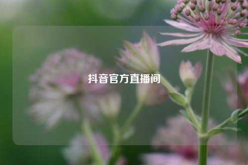 抖音官方直播间  第1张