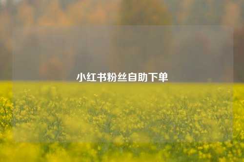 小红书粉丝自助下单  第1张