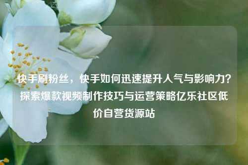 快手刷粉丝，快手如何迅速提升人气与影响力？探索爆款视频制作技巧与运营策略亿乐社区低价自营货源站  第1张