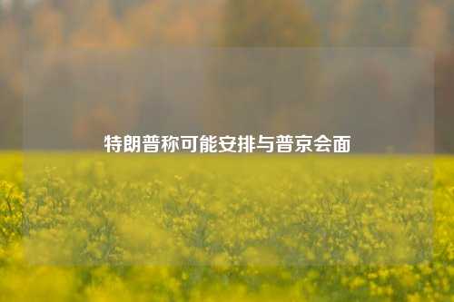 特朗普称可能安排与普京会面  第1张
