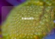 支撑和撑持