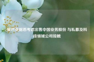 星巴克据悉考虑出售中国业务股份 与私募及科技领域公司接触