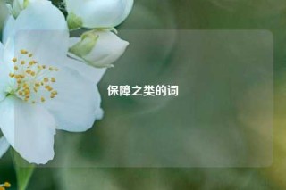 保障之类的词