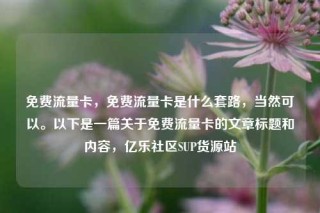 免费流量卡，免费流量卡是什么套路，当然可以。以下是一篇关于免费流量卡的文章标题和内容，亿乐社区SUP货源站