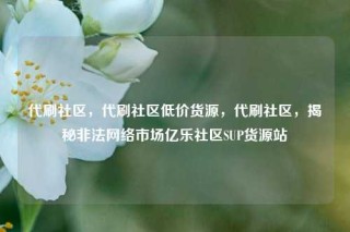 代刷社区，代刷社区低价货源，代刷社区，揭秘非法网络市场亿乐社区SUP货源站