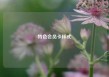 特色会员卡样式