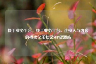 快手业务平台，快手业务平台，连接人与内容的桥梁亿乐社区SUP货源站