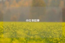 小红书拉伸