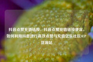 抖音点赞充值链接，抖音点赞充值链接便宜，如何利用抖音进行高效点赞与充值亿乐社区SUP货源站