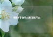 抖音快手自动挂机兼职平台