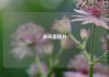 来碗面图片