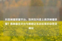 抖音刷播放量平台，如何在抖音上高效刷播放量？揭秘最佳平台与策略亿乐社区低价自营货源站
