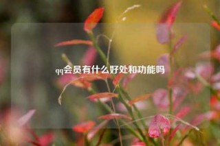 qq会员有什么好处和功能吗