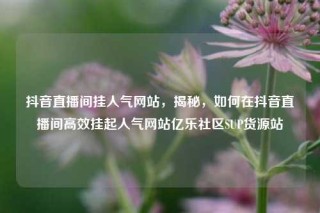 抖音直播间挂人气网站，揭秘，如何在抖音直播间高效挂起人气网站亿乐社区SUP货源站