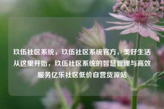 玖伍社区系统，玖伍社区系统官方，美好生活从这里开始，玖伍社区系统的智慧管理与高效服务亿乐社区低价自营货源站