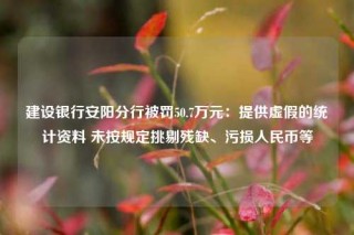 建设银行安阳分行被罚50.7万元：提供虚假的统计资料 未按规定挑剔残缺、污损人民币等