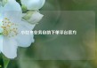 小红书业务自助下单平台官方