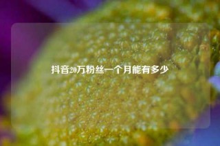 抖音20万粉丝一个月能有多少