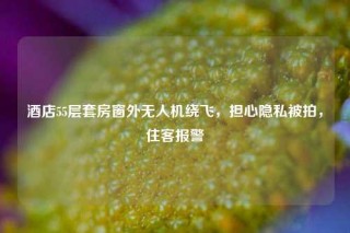 酒店55层套房窗外无人机绕飞，担心隐私被拍，住客报警