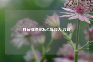 抖音播放量怎么算收入 收益
