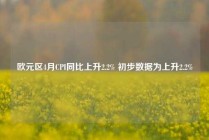 欧元区4月CPI同比上升2.2% 初步数据为上升2.2%