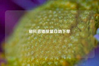 刷抖音播放量自助下单