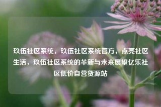 玖伍社区系统，玖伍社区系统官方，点亮社区生活，玖伍社区系统的革新与未来展望亿乐社区低价自营货源站