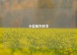 卡密制作软件
