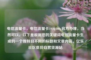 电信流量卡，电信流量卡19元200g官方办理，当然可以。以下是根据您的关键词电信流量卡生成的一个独特且不同的标题和文章内容。亿乐社区低价自营货源站