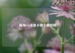 随身wifi流量卡哪个最划算