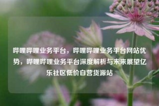 哔哩哔哩业务平台，哔哩哔哩业务平台网站优势，哔哩哔哩业务平台深度解析与未来展望亿乐社区低价自营货源站