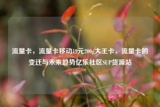 流量卡，流量卡移动19元200g大王卡，流量卡的变迁与未来趋势亿乐社区SUP货源站