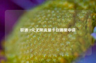 联通19元无限流量卡在哪里申请
