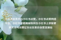 小红书业务平台小红书点赞，小红书点赞网络平台，小红书攻略揭秘如何在小红书上获取更多关注与点赞亿乐社区低价自营货源站