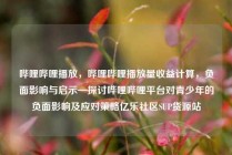 哔哩哔哩播放，哔哩哔哩播放量收益计算，负面影响与启示—探讨哔哩哔哩平台对青少年的负面影响及应对策略亿乐社区SUP货源站