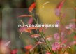 小红书平台客服在哪里找呀