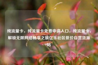 纯流量卡，纯流量卡免费申请入口，纯流量卡，解锁无限网络畅享之旅亿乐社区低价自营货源站