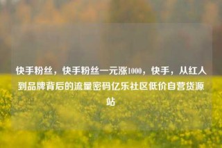 快手粉丝，快手粉丝一元涨1000，快手，从红人到品牌背后的流量密码亿乐社区低价自营货源站