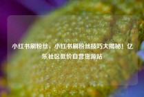 小红书刷粉丝，小红书刷粉丝技巧大揭秘！亿乐社区低价自营货源站